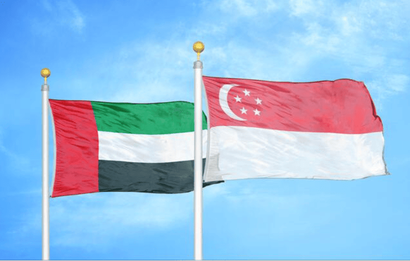 Singapore vs Dubai for E-Commerce and D2C Brands: Logistics, Tax, and Market Access